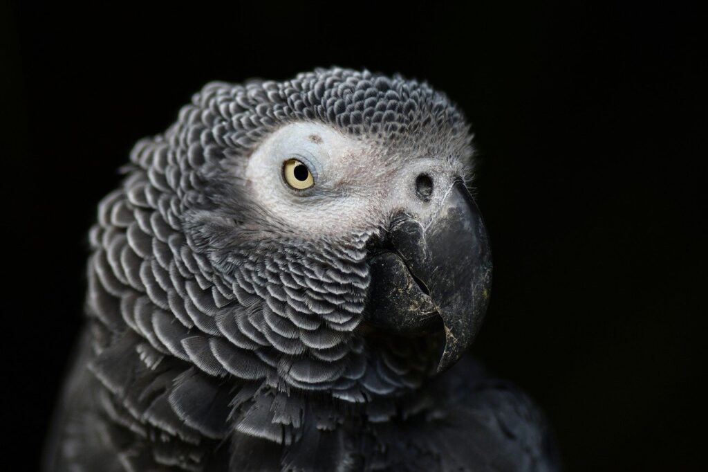 マッチングアプリで成功するためのプロフィール写真は他撮りが効果的なの？