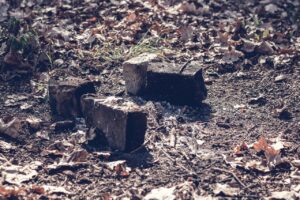 Tinderで使う写真は1枚だけでNGな理由とは？